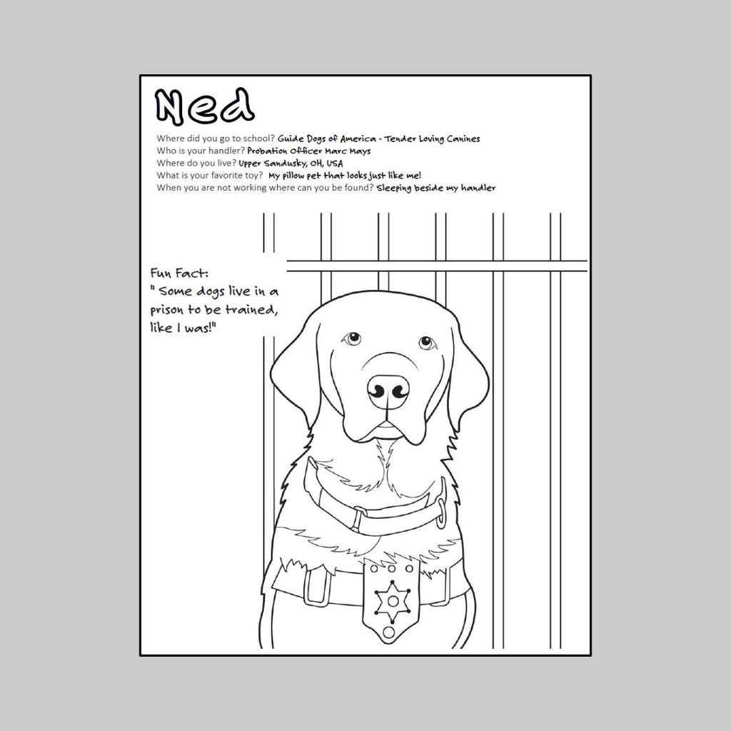 Coloring Book (1 Book)