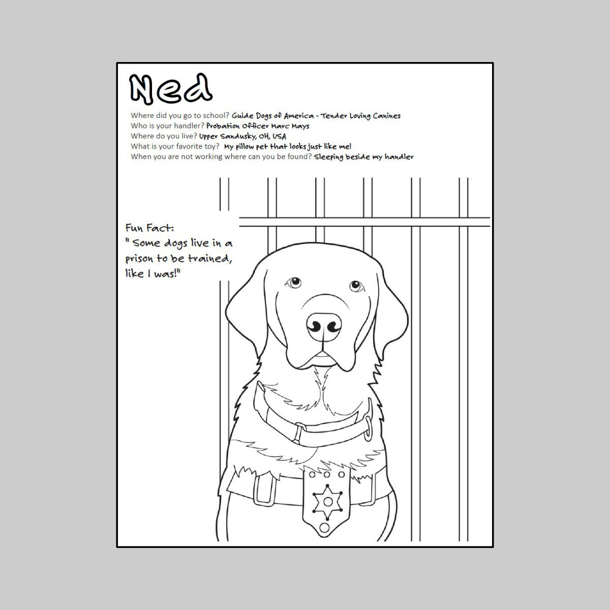 Coloring Book (1 Book)