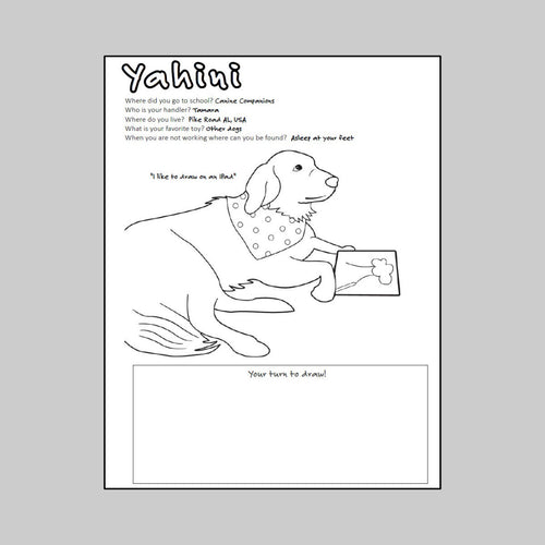 Coloring Book (1 Book)